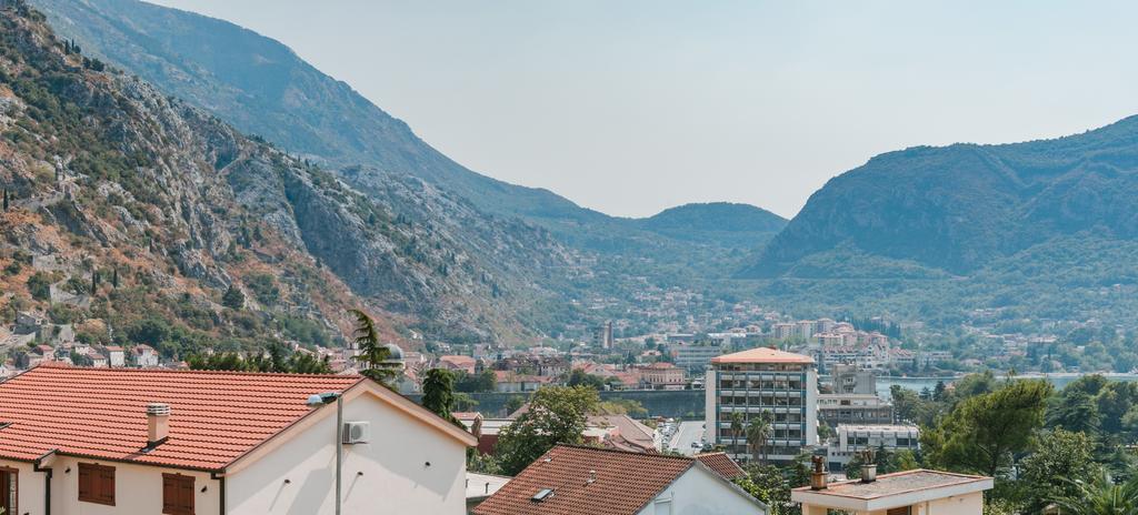 Olivos Daire Kotor
