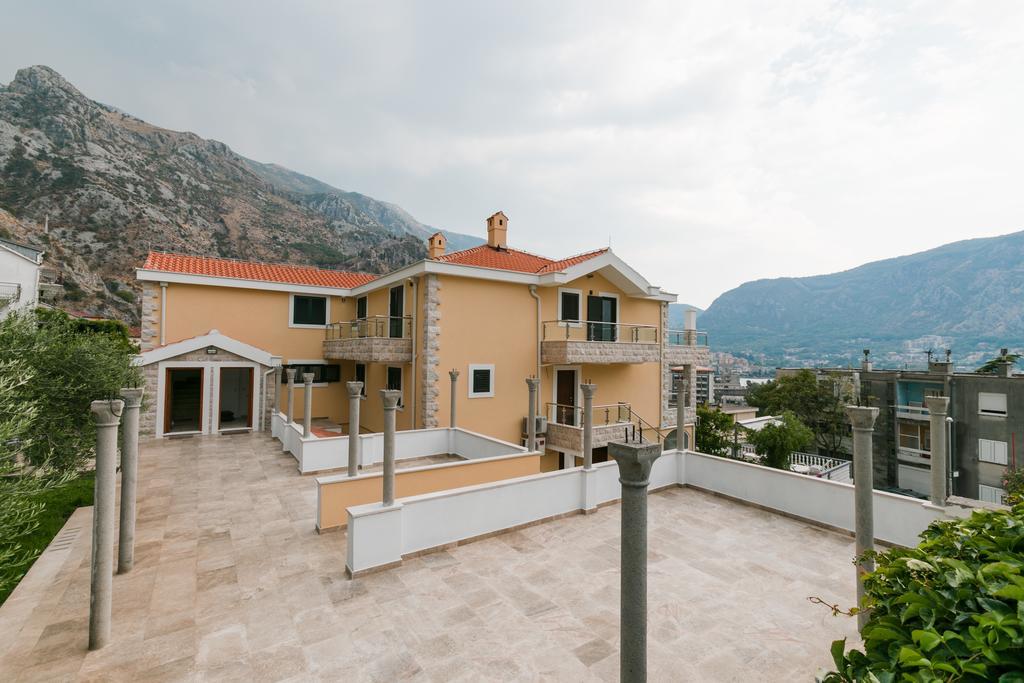 Olivos * Kotor
